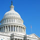 Urge Congress: Take Action to Support American Pet Breeders