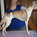 Jody..the expectant mother